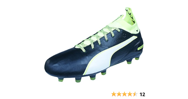 puma evo touch 1