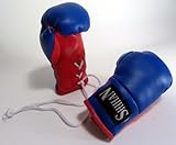Mini Car Hanging Boxing Gloves- Red/Blue