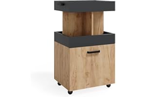 Vicco Domowy barek, minibar, barek na napoje, komin, drzwi na kółkach, półka, półka