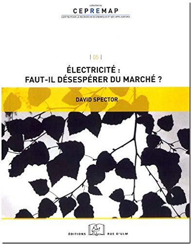 Electricite:Faut-Il Desesperer du Marche ? Electricite:Faut-Il Desesperer du Marche ?