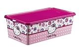 Rotho Babydesign 77191820KS - Aufbewahrungsbox Creativ Clear Box, Motiv Hello Kitty 5 L