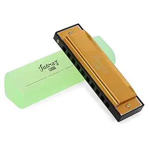 JUAREZ Junior JJ10HG 10 Holes Educational Harmonica Key of C Scale | Mouth Organ | Cover - Aluminum | Comb - Abs | Reed  Aluminum Gold