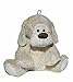 Kuddli Friends Buddy The Brown Nosed Dog: Hot Water Bottle