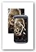 Produktbild Gollum - The Hobbit - Augmented Reality Poster Kunstdruck