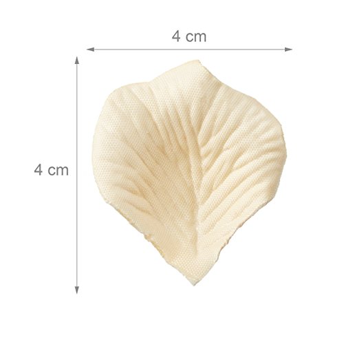 2500 x Rosenblätter Champagner, Rosenblüten zum Streuen, Deko für Hochzeit und Valentinstag, Hochzeitsgeschenk, creme - 3