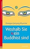 Weshalb Sie (k)ein Buddhist sind by Dzongsar Jamyang Khyentse, Maike und Stephan Schuhmacher (Übers.)