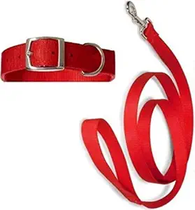 Pedigone Red Color Dog Collar Belt, Dog Collar Leash Specially for Small Breed Dogs.