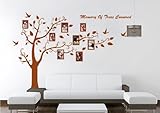 WallStickersDecal® PVC Riesig Schwarz Bilderrahmen Speicher Baum Vine Zweig Abnehmbare Wandtattoo Sticker 200CM(H) (Richtig) - 5