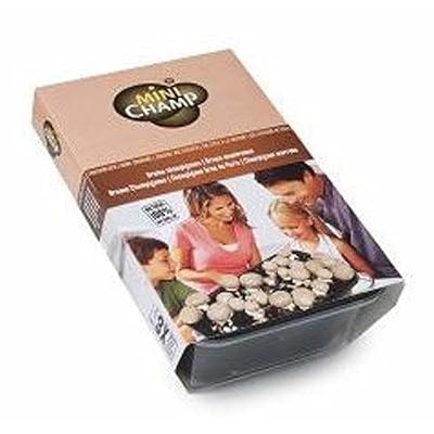 Minichamp Kit Champignons de Paris Gris à Faire Pousser