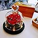 Produktbild Eine Rote Seidenrose, LED Lichterkette , Einige Abgefallene BlüTenbläTter, Eine Glasflasche, Ein Holzsockel / Perfekt Als Geschenk Und Blumen-Strauß , #1b