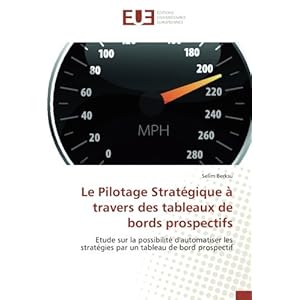 Le Pilotage Strategique a travers des tableaux de bords prospectifs: Etude sur la possibilite d'automatiser les strategies par un tableau de bord pros