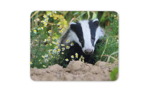 European Forest Badger Mouse Mat Pad - Animals Fun Computer #15713