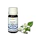 Devinez Jasmine Cooler Perfume, 60ml RS.399.00