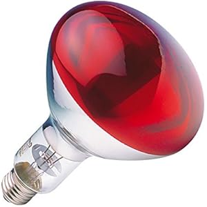 GE LIGHTING 250w Infrarot Reflektor starkes Glas ES rubinrot (GE 91391)