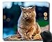 Produktbild Mauspad, defokussierte Katzenmauspad für Haustiere, Mauspad für Computer cat203