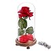 Produktbild "Die Schöne und das Biest" rote Seidenrose und LED-Licht mit herabgefallenen Blütenblättern in Glaskuppel auf einem Holzsockel von Warm White Light Rose Shade