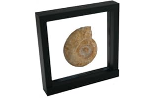 SAFE 4506 Cadre flottant 3D noir 180 x 180 mm | cadre pour pièce | cadre pour objet | cadre 3D noir pour vos pièces de collection