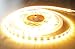 Produktbild 6100 Lumen 5m Ultra-Highpower LED Streifen mit 300 2835 LED's warmweiß warm weiss weiß superhell 24V ohne Netzteil von AS-S