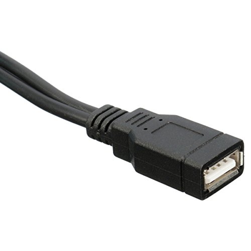 39cm Doppel USB 2.0-A Stecker auf USB-Buchse Kabel Verlängerungskabel - 3