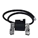 Produktbild Für Briggs & Stratton Zündung Spule 398811 395492 398265 Anker Magneto neu