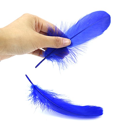 Coceca 150 Stück Bunte Federn12-18cm (4,7-7 Zoll) für Kunst und Handwerk - 5