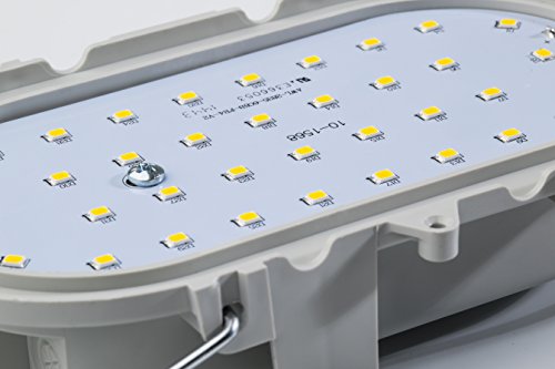 as – Schwabe LED-Lampe, Ovalleuchte für Aussen, Werkstatt, 7 W, grau, 56750 - 2