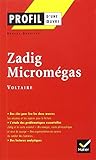 Profil d'une oeuvre : Zadig - Micromégas - Voltaire