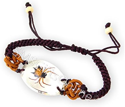 Adjustable Clear Acrylic Amber Spiny Spider Bracelet / Bangle