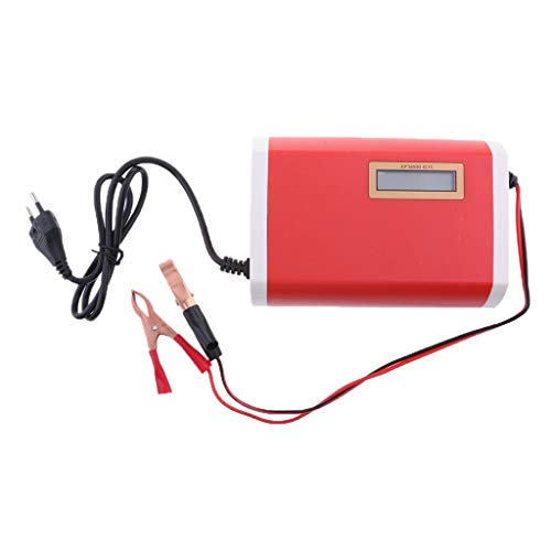 Preisvergleich Produktbild IPOTCH Batterie Ladegerät (für Batterien von 12V / 20AH-80AH)