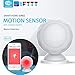Produktbild RENYAYA WiFi PIR Bewegungsmelder Detektor Home Alarm System mit Magnethalterung Super Mini Form, Smart Home Automation