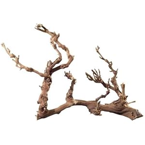 Hobby 34127 Weinrebenwurzel, Jumbo