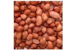 5kg bag wild bird peanuts, FREE Express delivery