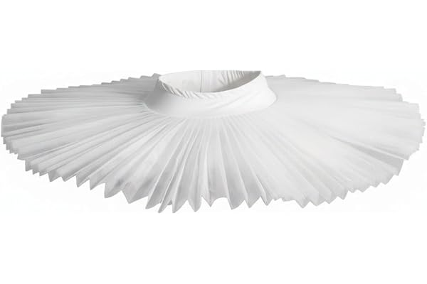 Stakee Professional ballet tutus kjol för kvinnor svan sjö balettkjol kostym enfärgad balettkjol