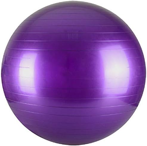 Aoleytech Yoga ball Exercise Ball GYM Large FITNESS ABDOMINAL BODY TONE WORKOUT,Purple, 10 inch