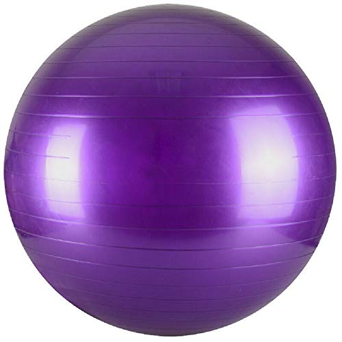 Aoleytech Yoga ball Exercise Ball GYM Large FITNESS ABDOMINAL BODY TONE WORKOUT,Purple, 10 inch