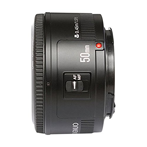 YONGNUO YN50mm F1.8 Lens Large Aperture Auto Focus Lens For Canon EF Mount Rebel DSLR Camera-yn 50mm for Canon