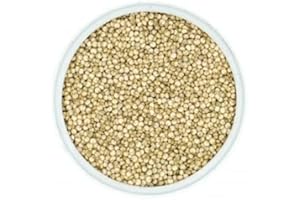 DRAGONSPICE NATURWAREN BIO Quinoa - Inkakorn 500g, 500g