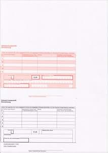 Scheck-/Lastschrift-Einlieferung, bankneutral, mikroperforiert, 90g ...