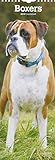 Boxers 2019 (Slimline-Kalender) by