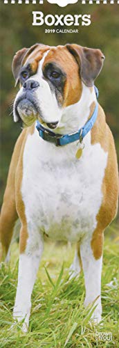 Boxers 2019 (Slimline-Kalender)