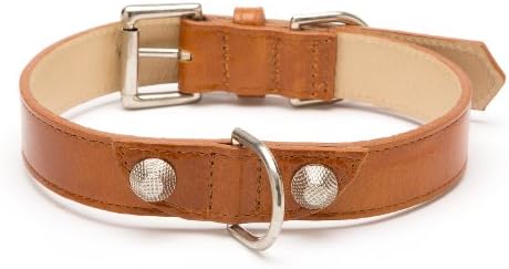 Balencioochee Straight Dog Collar,  Rivets, Extra Small Size 8, Cumin with Silver Rivets