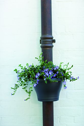 elho Corsica Regenrohr Pflanzgefäss 24cm – Anthrazit - 3