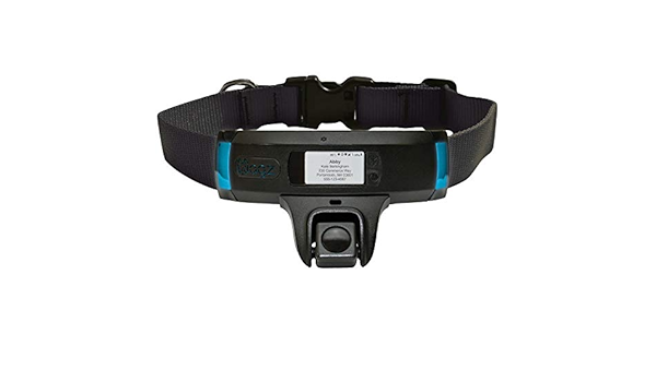 wagz explore smart collar