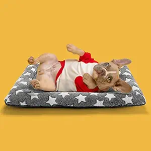 Dog Crate Bed Dog Crate Mat Dog Pad for Crate Ultra Soft with Star Print Bolster Dog Bed for Small Medium Dog Machine Washable Anti-Slip Bottom