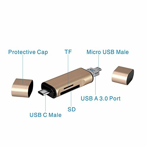htreverse SD Karte zu USB, SD Card Reader mit 2 Slot Micro SD TF Kartenleser mit OTG unterstützt für Nexus 6P, Nexus 5 x, Lumia 950, Apple MacBook 2015, Chromebook, Windows und mehr, Gold