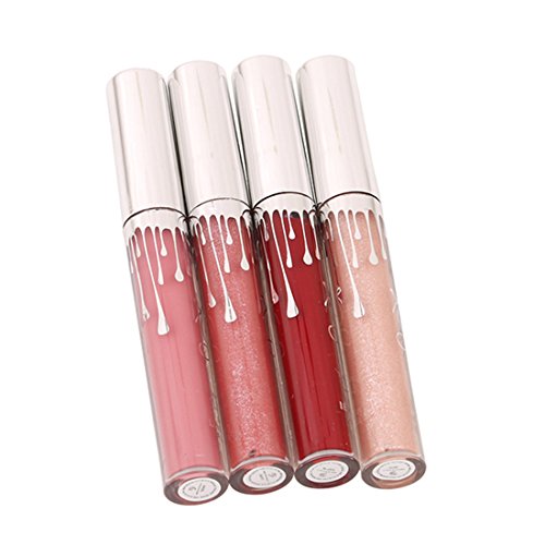 VWH 4 Farben Wasserdichte langlebige Matte Flüssigkeit Lipgloss Lippenstift Kosmetik