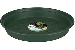 elho Green Basics Spodek 34 - Spodek do użytku wewnątrz, na zewnątrz, do uprawy własnych i akcesoriów - Ø 33,5 x wys. 4,8 cm - zielony/zielony liść