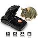 Produktbild Mouse Trap,Mousetraps Reusable Snap Trap and Easy to Use Snap Traps, Rodent Trap Mouse Control,100% Mouse Catcher for Small Mice(6 Pack)