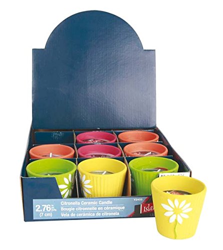 Preisvergleich Produktbild Ohne Marke – Kerze Citronella im Topf zufällige Farbauswahl