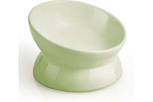 LoeJan Elevated Cat Food Bowl, 5 Oz Ceramic Raised and Tilted Pet Water Bowl, Anti Vomiting and Protect Pets' Spines Cat Dishes for Small Dog, Fat Faced Cat, Kitten (Green, 1 Pack)